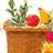 Harvest basket icon