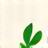 Green sprout icon