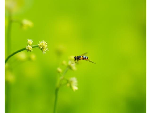 A ladybug larva actively hunting aphids on a green leaf, demonstrating natural pest control in a garden habitat.